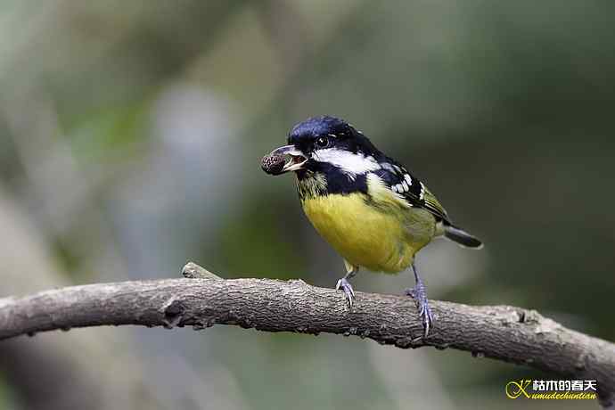 鈥溁聘股饺糕澊⒘腹