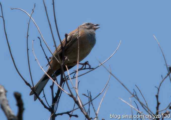 白河峡谷一日游（组图，11张图片）