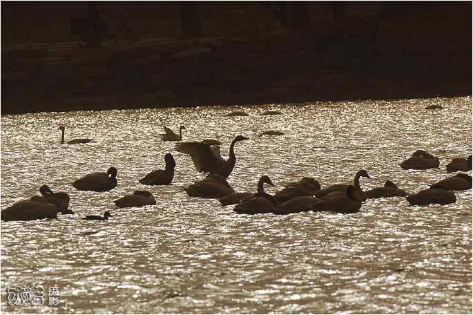  点击图片或使用键盘← →翻页