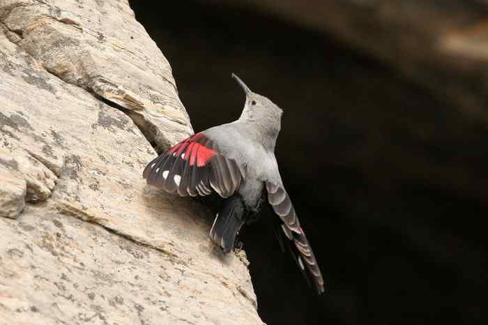 杭州老郑摄影续