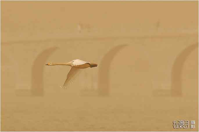  点击图片或使用键盘← →翻页