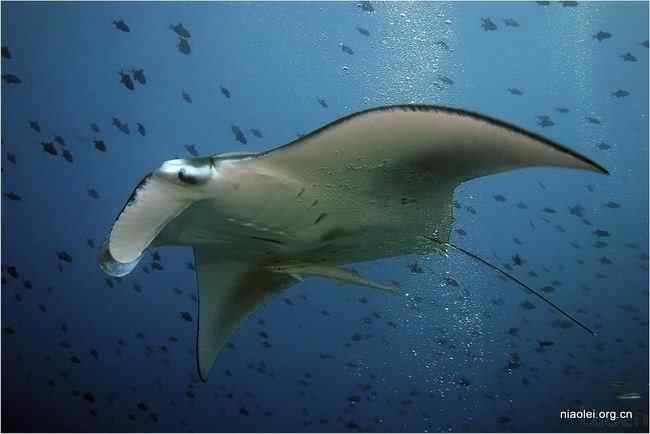 唯美至极的经典摄影图片(48p)