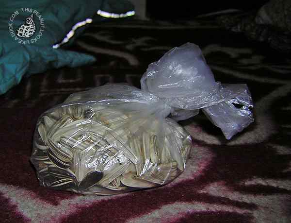 一只长得像鸭子的装葵花籽的袋子