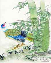 吉祥鸟水彩画手机壁纸