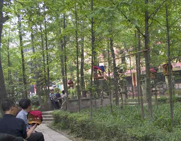 春天音乐会 春天音乐会