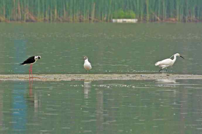 和谐 wbr wbr记录版 wbr wbr（2）