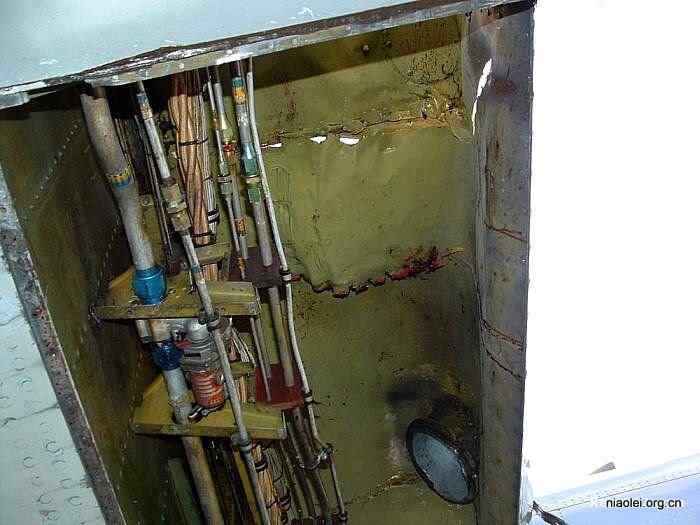 [组图]飞机被鸟撞得稀里哗啦