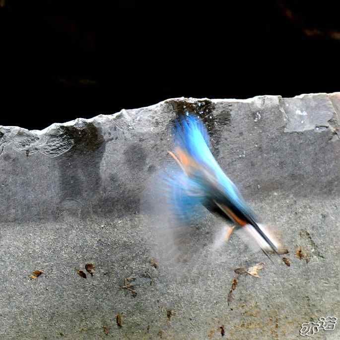 圆明园&nbsp;wbr路&nbsp;wbr雨天的小翠