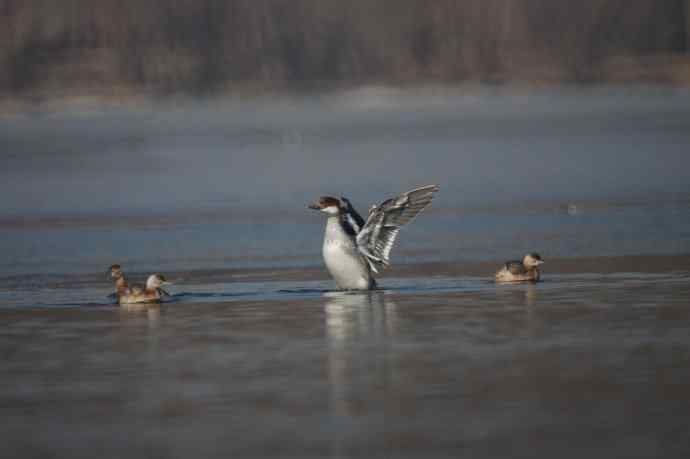 美好记忆鈥斺斣那锷逞