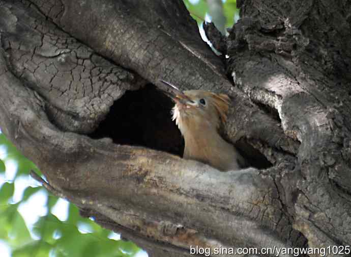 期盼（20分钟纪实片）