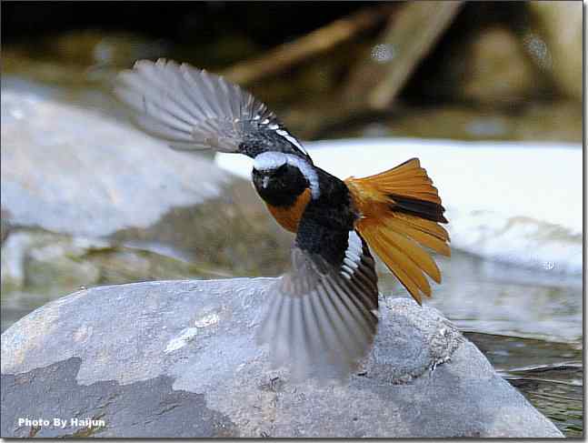  点击图片或使用键盘← →翻页