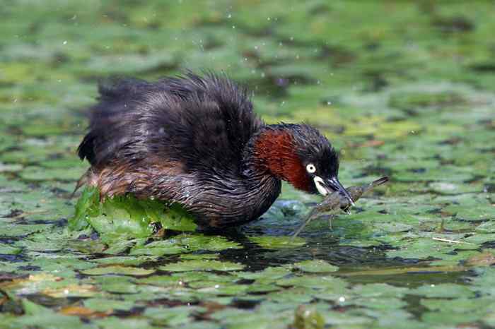 杭州老郑摄影续