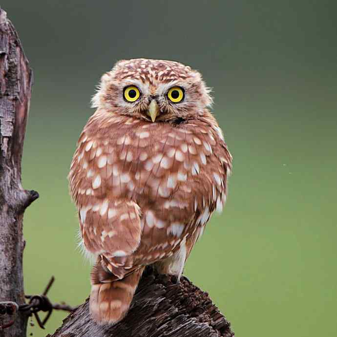 不期而遇鈥斺斪菸聘剐←^