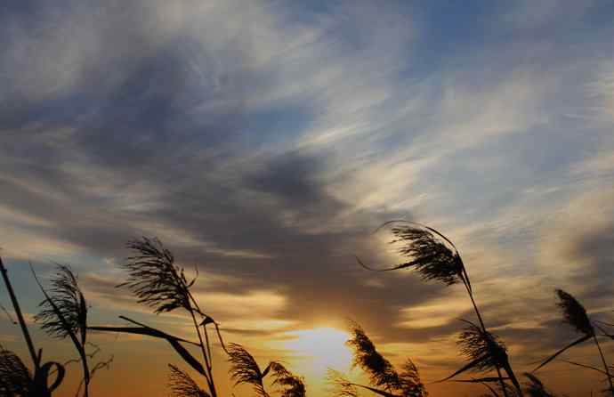 大美盘锦的风光和野鸟 大美盘锦的风光和野鸟