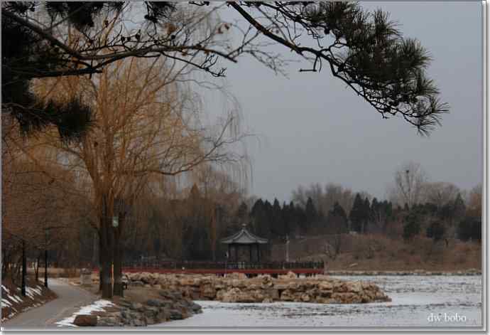 参加自然之友观鸟活动