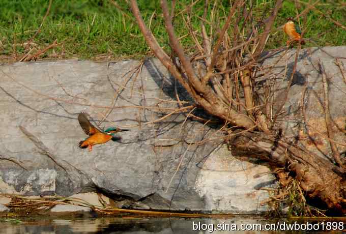 小翠儿过节踩蛋忙