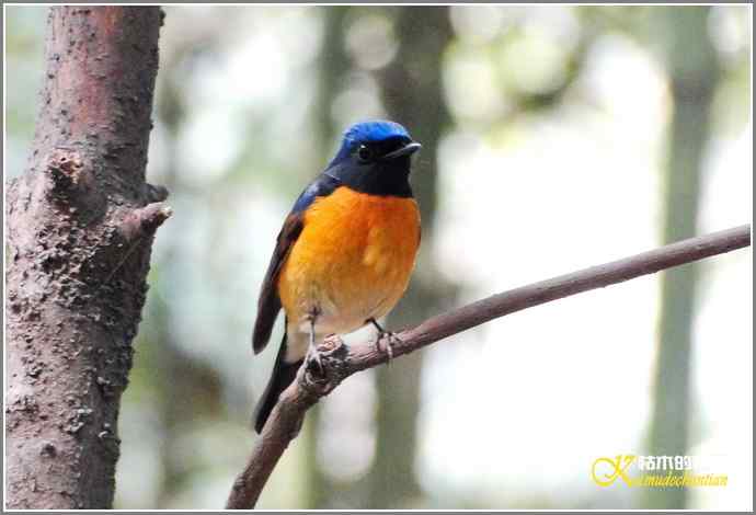 追拍鈥溩馗勾笙甥l鈥潯菊掌