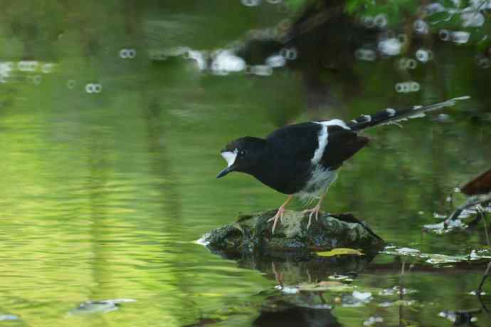 洋县朝圣鈥斺斢葡锌炖值陌锥钛辔拆