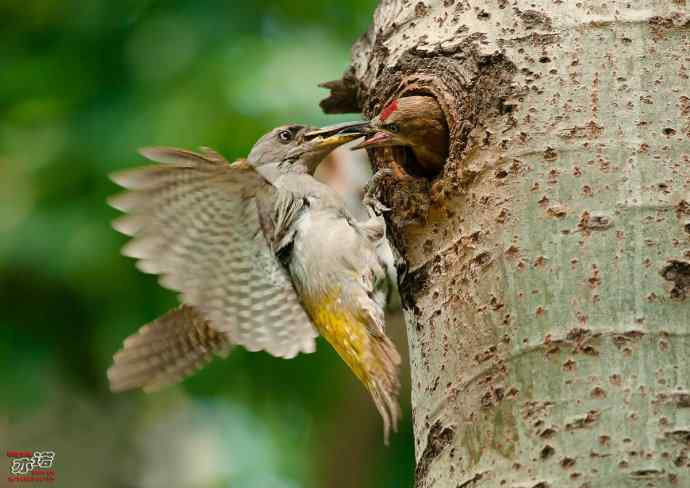 敬畏生命 敬畏生命