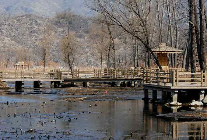怀沙河鸟调 怀沙河鸟调