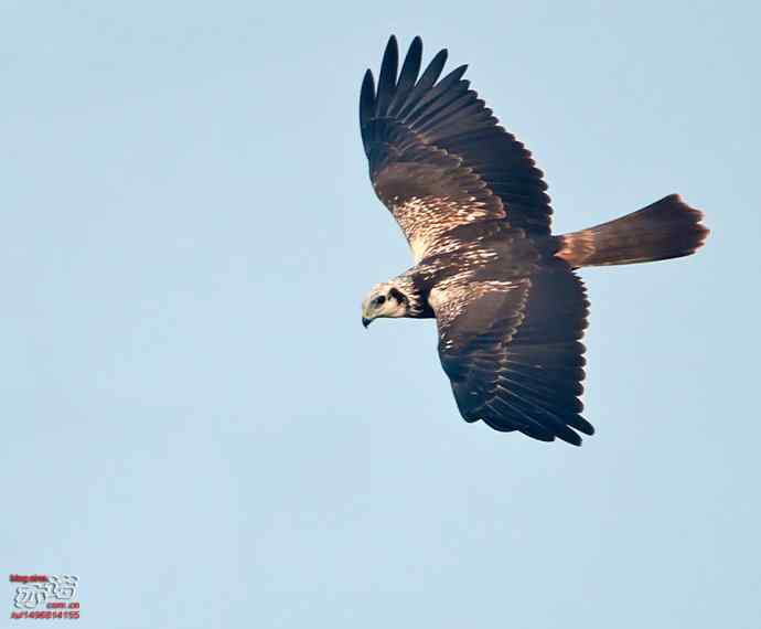 官厅水库 wbr路 wbr金秋十一猛 官厅水库 wbr路 wbr金秋十一猛