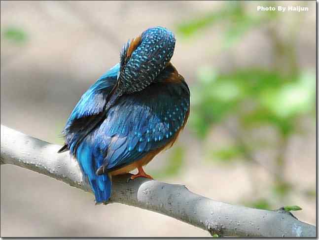  点击图片或使用键盘← →翻页