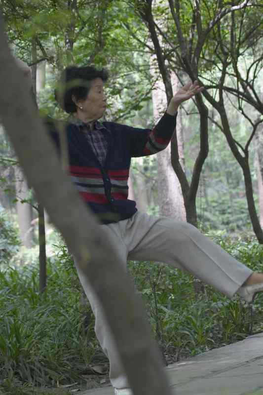 文殊院的白头鹎