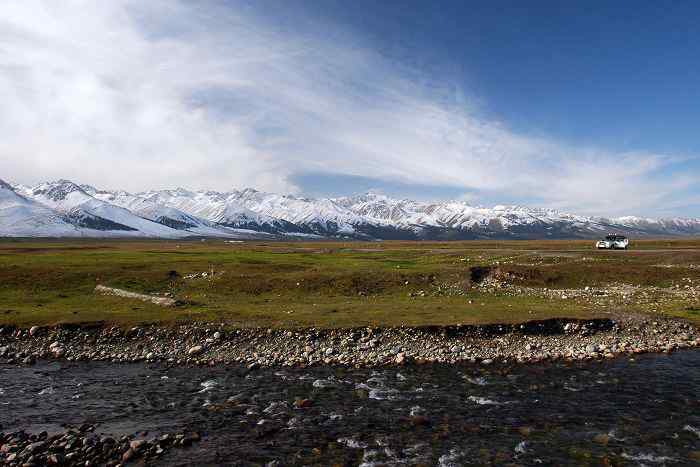 巴音布鲁克越冬的天鹅