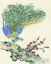 吉祥鸟水彩画手机壁纸