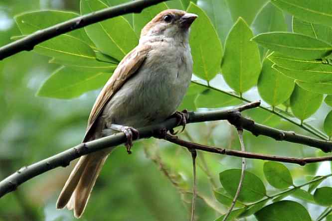  点击图片或使用键盘← →翻页