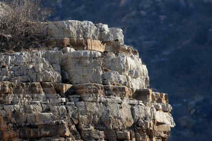 永定河生态观鸟