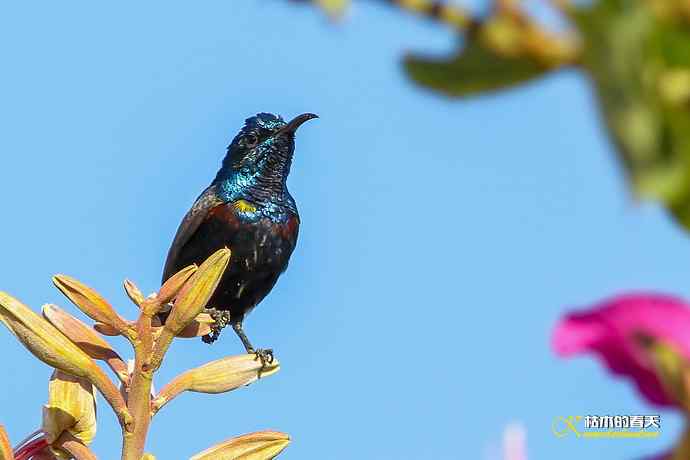 美丽邂逅鈥斺斪仙勰