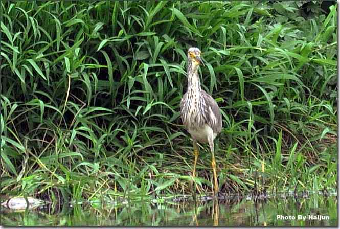  点击图片或使用键盘← →翻页