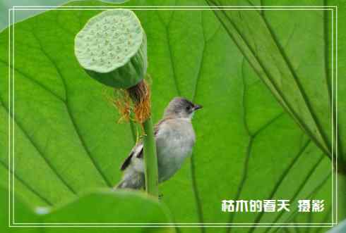 我与鈥湴淄佛恰綛ei】鈥