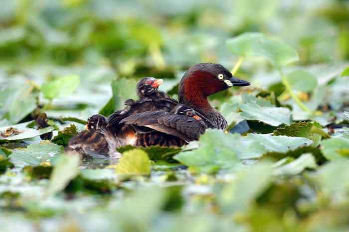 杭州老郑摄影续