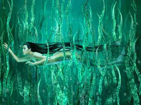 美人鱼:传说的兽 美人鱼:传说的兽