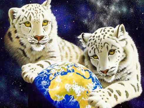 白虎:传说的兽原型探秘 白虎:传说的兽原型探秘