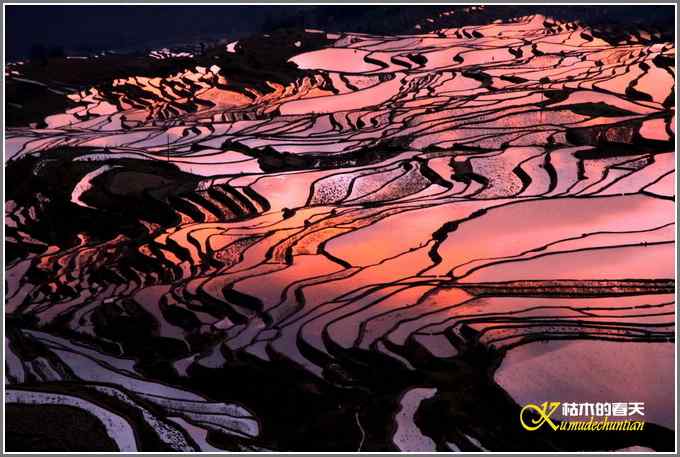 如梦的元阳梯田【照片】 如梦的元阳梯田【照片】