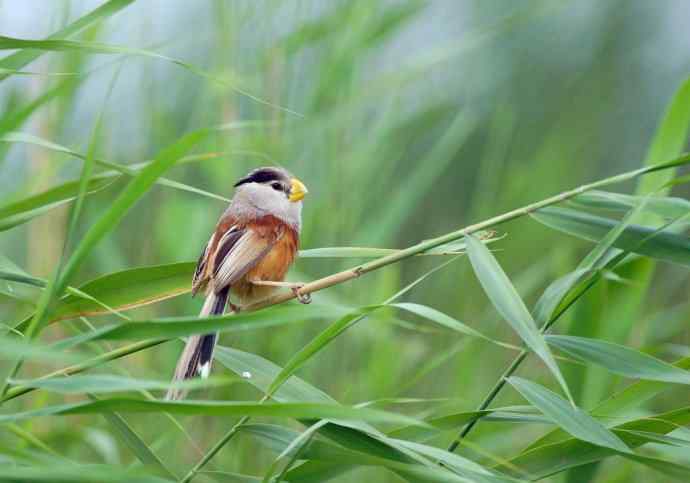 震旦鈥斺斁灾泄