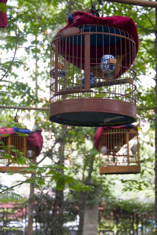 春天音乐会 春天音乐会