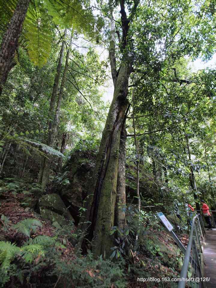 澳大利亚悉尼的国家公园