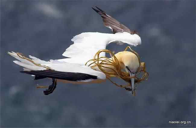 唯美至极的经典摄影图片(48p)