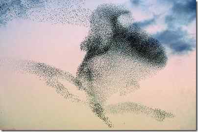 欧洲首都的城市明星