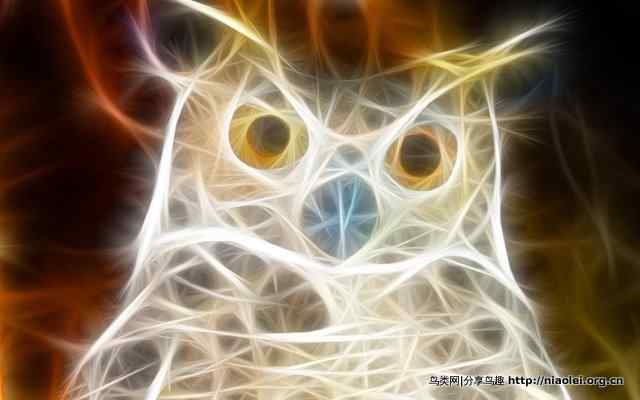 光线描绘宽屏鸟类壁纸