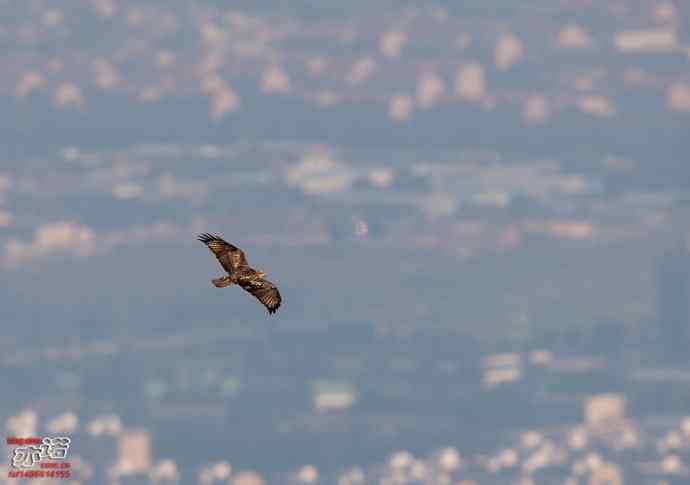 北京西山&nbsp;wbr路&nbsp;wbr金秋观猛