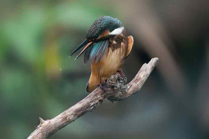 翠二小的渔家功☆