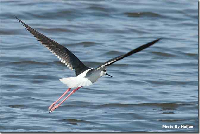  点击图片或使用键盘← →翻页