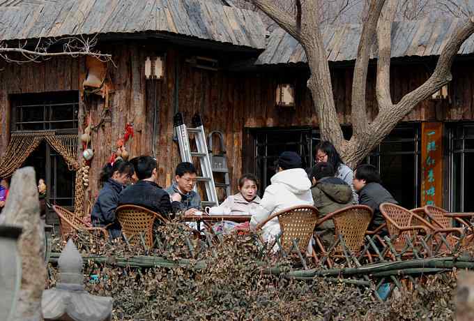 三只小鸟 wbr满园春色