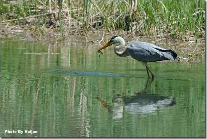  点击图片或使用键盘← →翻页