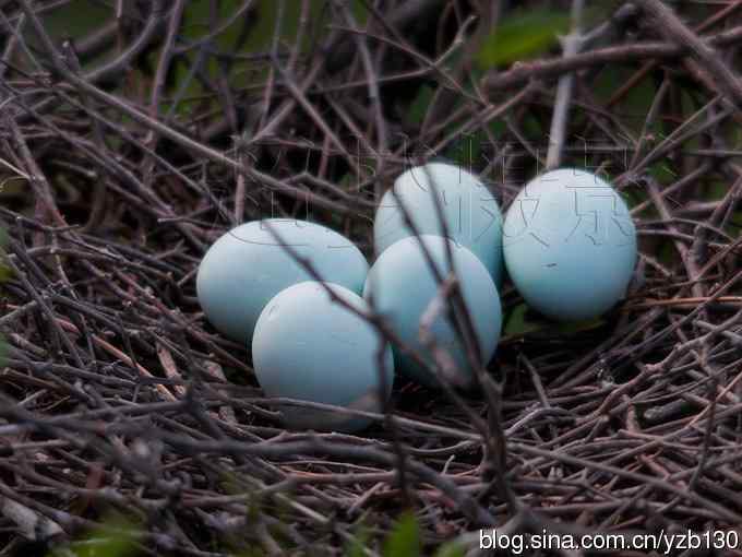 聆听超萌鈥溞∫光澢ㄗ橥迹24张图片）